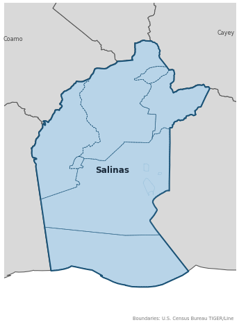 Salinas